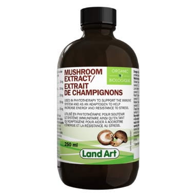 Extrait de champignons médicinaux
