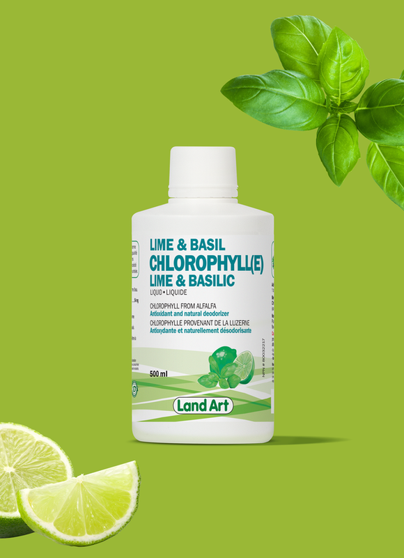 Chlorophylle - Lime et Basilic