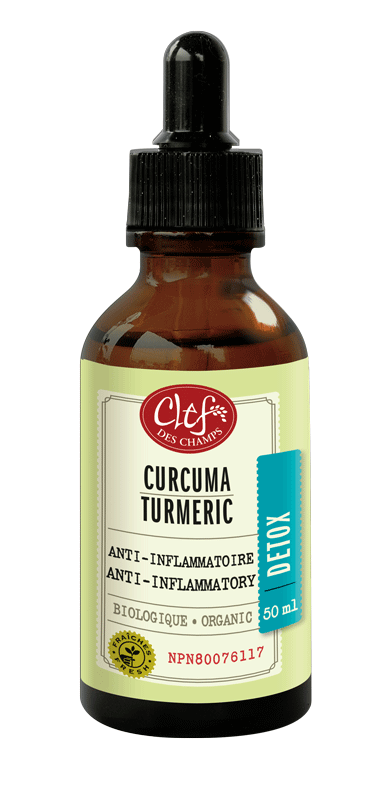 DETOX - Teinture de curcuma