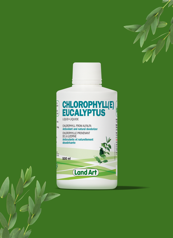 Chlorophylle - Eucalyptus
